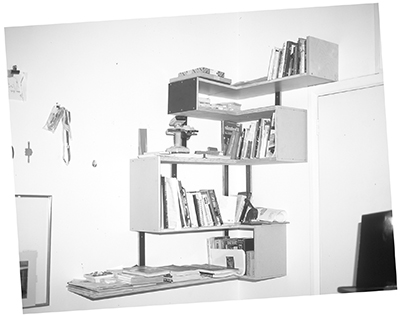 Book Snake Shelf Prototype