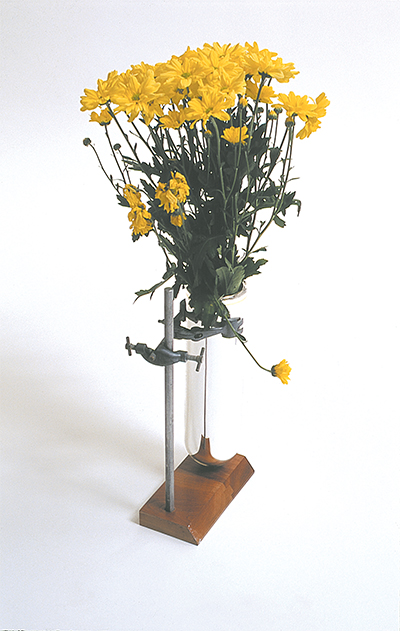 Hold-on Vase 2002 Vacuum flask, chemistry clamps, wood  150 x 300 x 180mm, Unique