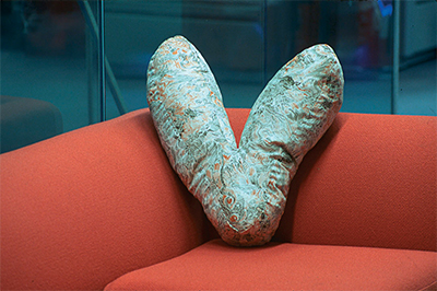 The Rabbit Head