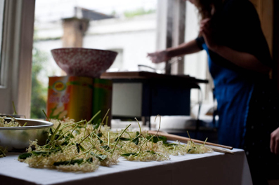 Foraged elderflower fritters
