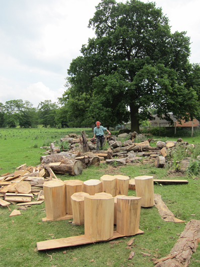 Making the Stump Stools