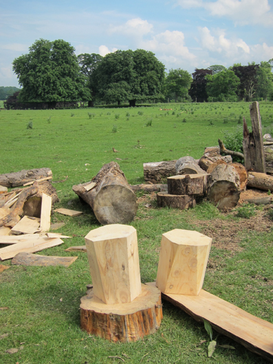 Making of the Stump Stools