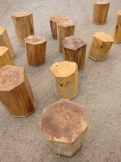Stump Stools 2010 Lime wood felled from Calke Abbey